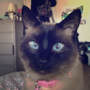 New clothing and shoes available !!